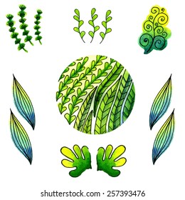 algae watercolor vector set. Marine background