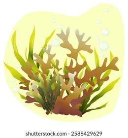 Algaes. Underwater flora in the gradient. Can be used environmental projects, promotional materials, textbooks, logos and branding.