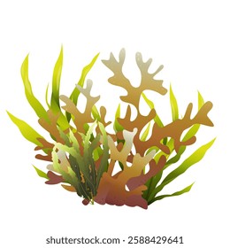 Algaes. Underwater flora in the gradient. Can be used environmental projects, promotional materials, textbooks, logos and branding.