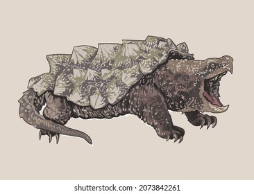 Aligator Snapping Turtle Drawing, Predator, Art.illustration, Vector