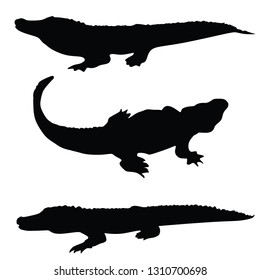 Aligator vector  illustration - Vector