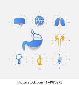alimentary system