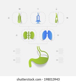 alimentary system