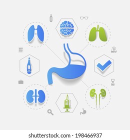 alimentary system