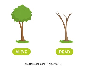 Plantilla vectorial de tarjeta de texto de antónimos vivos y muertos. Flashcard para el aprendizaje del inglés. Concepto opuesto. Un árbol vivo con una corona verde y un tronco de árbol seco.