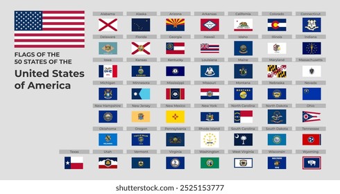 Formato Vetorial de Todos os Sinalizadores de Estado dos 50 EUA