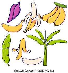all about banana set vector tree perfect for icon