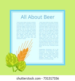 All about beer poster with green background. Isolated vector illustration of two head of fresh cabbage and and single ripe wheat ear