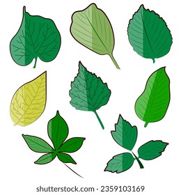 all about coffee set vector illustration hand drawn