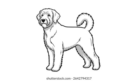 All About Goldendoodle Puppies Breed Pros Cons Training and Health Comprehensive Guide for Owners