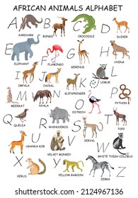 All African animals by alphabet. Aardvark,  lemur, topi, white thigh colobus, python,   gerenuk, crocodile, baboon, duiker etc.