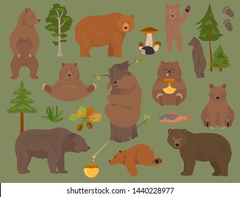 All bear species in one set. Bears in forest collection. Vector illustration