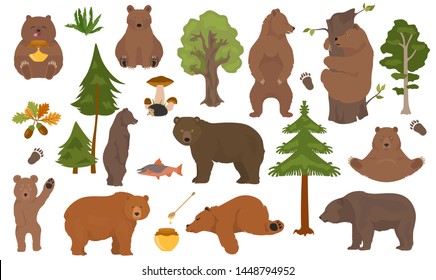 All bear species in one set. Bears in forest collection. Vector illustration