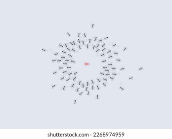 All Black Ants follow Red Ant. Be yourself, and think differently concept. innovation, unique, leadership, different ways, and new ideas. vector illustrations