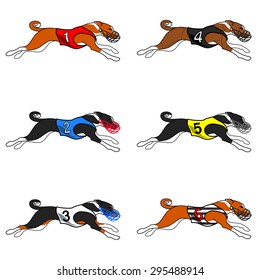 All color basenji dog running (dog racing dress)
