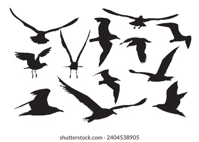 All different images of flying seagulls. Vector images. White background.