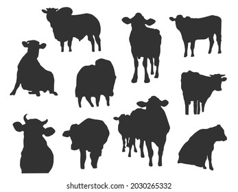 All Different Vector Cow Shadow On Stock Vector (Royalty Free ...