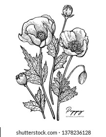 All element isolated. Engraved illustration. Line art. Design elements for wedding invitations, greeting cards, wrapping paper, cosmetics packaging, labels, tags, posters