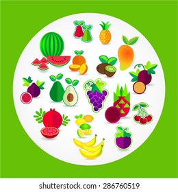 All fruit vector illustration