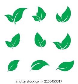 All Kinds Leaves Suitable Logos Symbols Stock Vector (Royalty Free ...