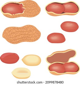 All kinds of peanuts with different appearance