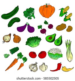 All kinds of vegetables