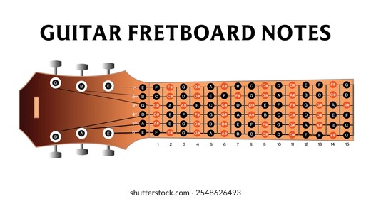 All the notes on the guitar fretboard shown by different color and name, Learn Guitar Notes, guitar music notes vector illustration, Schematic view of a guitar fretboard with each notes, infographics