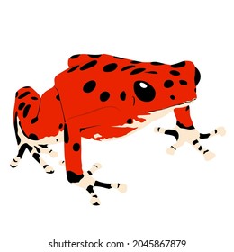 All of poison dart frogs are classified into Dendrobatidae family. They have beautiful coloration but also known as the most toxic species.