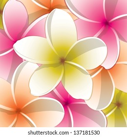 All purpose bright frangipani card in vector format.