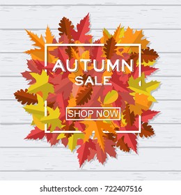 all sale banner background with abstract autumnal maple leaf pattern. Vector Sale design on white wood fence for autumn shopping discount promo poster or online store