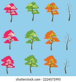 all season tree, spring summer autumn and winter