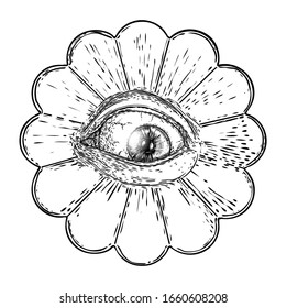 All seeing eye or Eye of Providence on decorative background sacred geometry. Ancient mystical sacral Masonic symbol. Hand drawn alchemy, religion and spiritual occultism. Conspiracy theory vector.