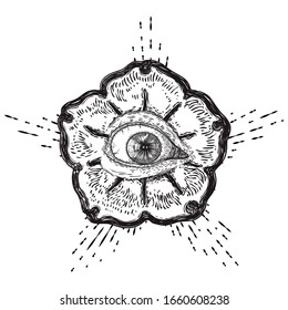 All seeing eye or Eye of Providence on decorative background sacred geometry. Ancient mystical sacral Masonic symbol. Hand drawn alchemy, religion and spiritual occultism. Conspiracy theory vector.