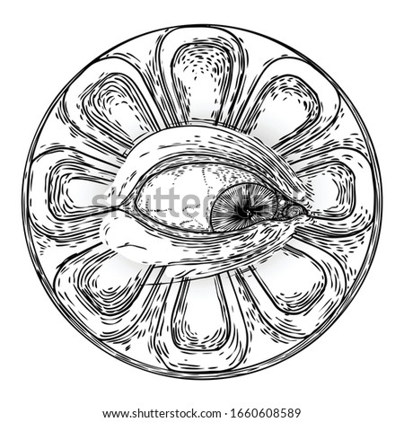 All seeing eye or Eye of Providence on decorative background sacred geometry. Ancient mystical sacral Masonic symbol. Hand drawn alchemy, religion and spiritual occultism. Conspiracy theory vector.