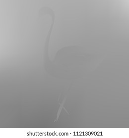 All shades of gray gradient background. Original texture in gray colors with flamingo. Gradient banner with flamingo