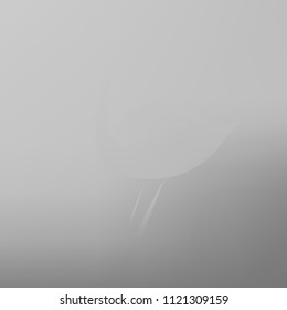 All shades of gray gradient background. Original texture in gray colors with flamingo. Gradient banner with flamingo