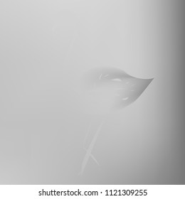 All shades of gray gradient background. Original texture in gray colors with flamingo. Gradient banner with flamingo