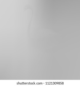 All shades of gray gradient background. Original texture in gray colors with flamingo. Gradient banner with flamingo