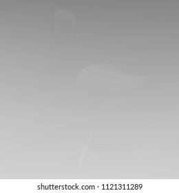 All shades of gray gradient background. Original texture in gray colors with flamingo. Gradient banner with flamingo