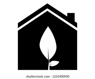 In all things of nature there is something wonderful. (Aristotle)