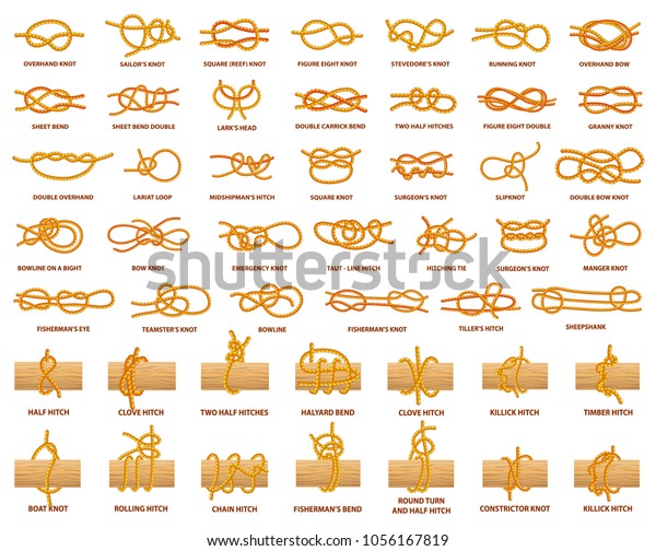 あらゆる種類の結び目が強いロープで示されている 名前の付いた強く複雑な結び目 木の板に縛られたロープ 分離型ベクターイラスト のベクター画像素材 ロイヤリティフリー