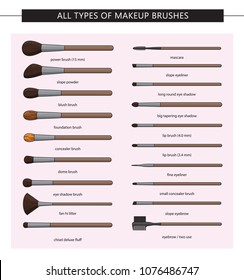 All types of makeup brushes. Vector set. Makeup brushes kit.Iisolated. Vector Set of Clean Professional Makeup Concealer Powder Blush Eye Shadow Brow Brushes with Handles Isolated on White Background
