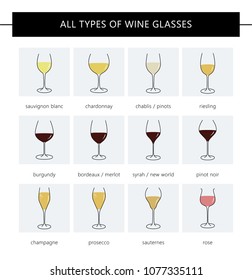 All Types Wine Glasses Description Set Stock Vector (Royalty Free ...