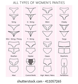 All Types Womens Panties Vector Set Stock Vector (Royalty Free ...