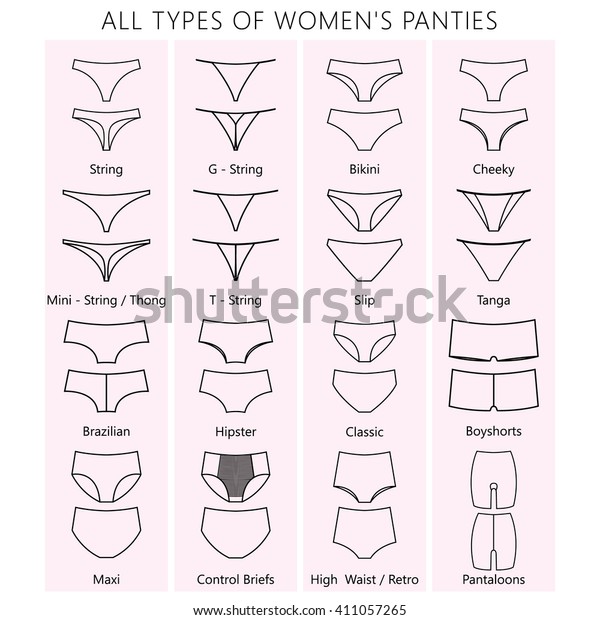 All Types Womens Panties Vector Set Stock Vector (Royalty Free ...