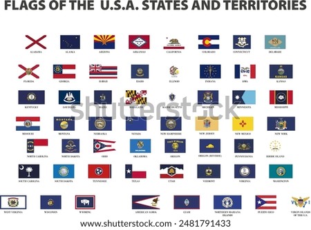 all of the USA state flags on white background