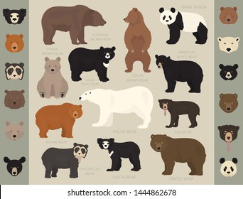 All World Bear Species In One Set. Bears Collection. Vector Illustration