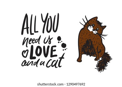All you need is love and a cat. hand lettering quotes about cats for your design: cards,  posters