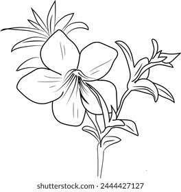 Ilustración botánica catártica de Allamanda, Arte vectorial catártico de allamanda, dibujos de línea catártica de allamanda, decoración de pared de rosa amarilla, allamanda catártica aislada sobre fondo blanco