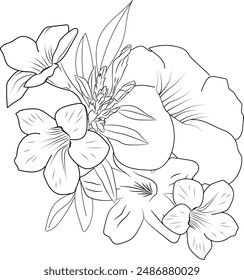 Allamanda catártica libro para colorear dibujado a mano Elementos botánicos de primavera ramo de Allamanda catártica línea de arte, página para colorear, boceto de Vector, simplicidad artística doodle art